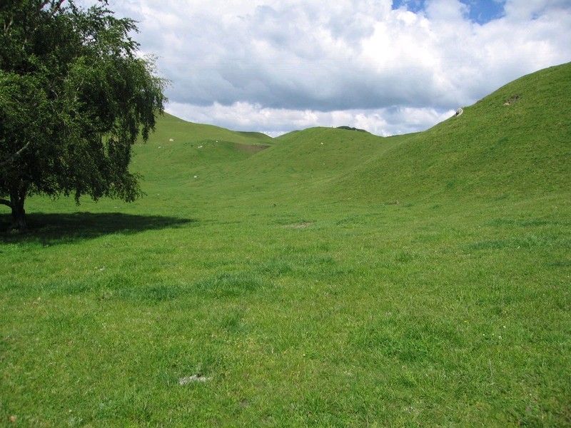 Kaahu Road, Mangakino, Taupo, 0 rūma, 1 rūma horoi