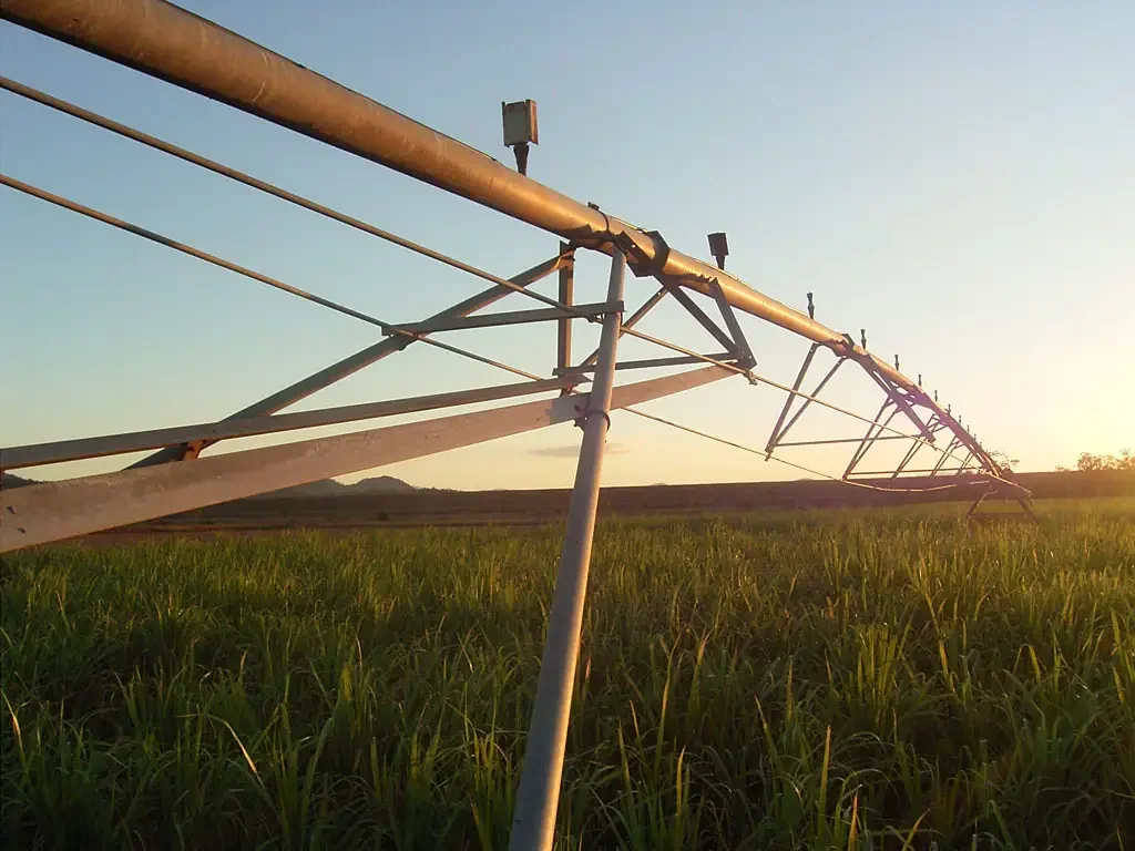 Marian Marian Cane Farm or Hay Production or Grazing