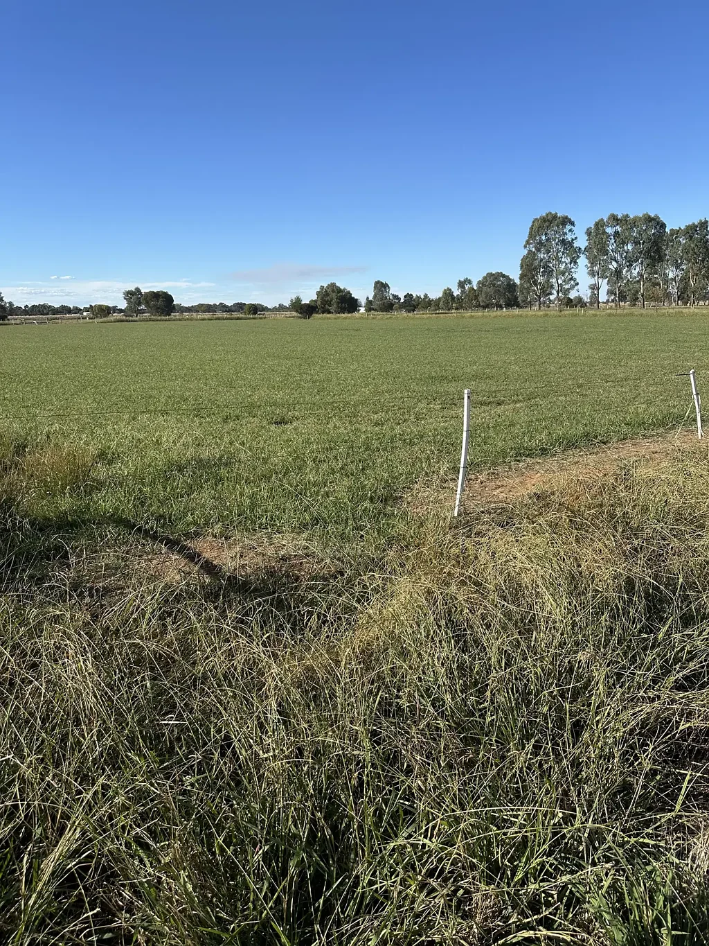 Girgarre East Versatile Farming Property with Water and House Permit
