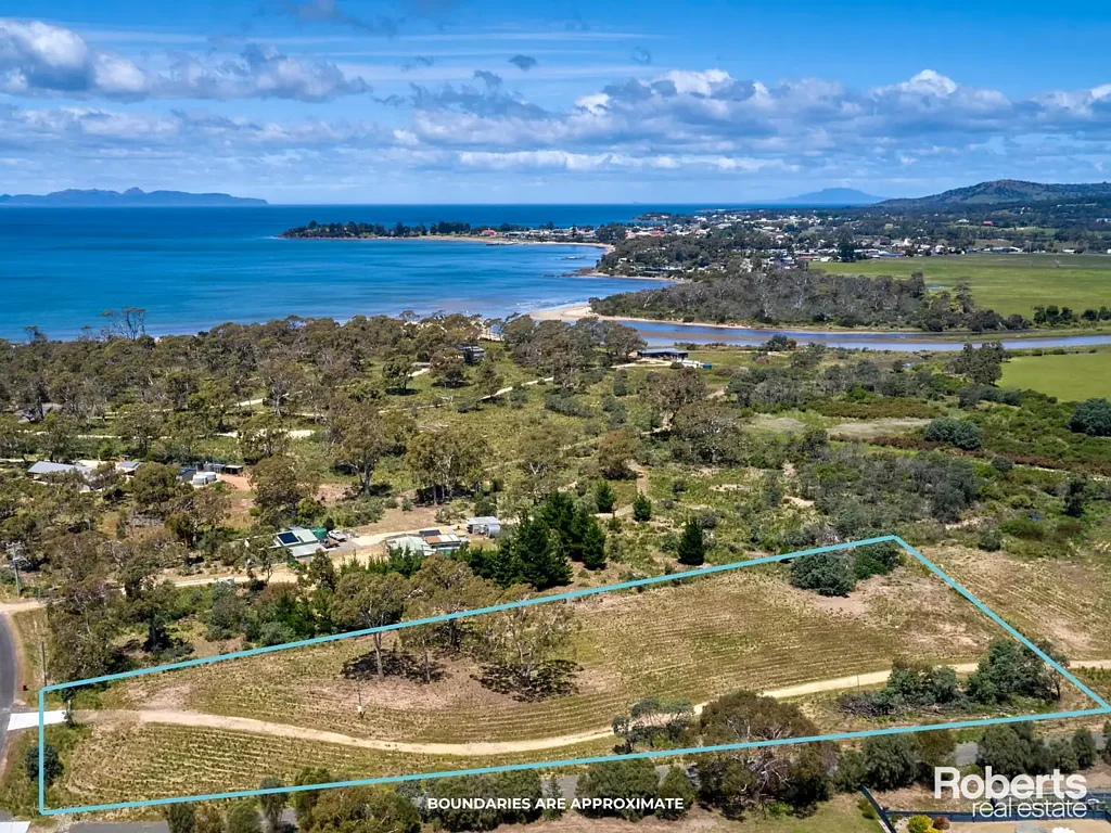 Dolphin Sands Peaceful 2.5 Acre Block - Power Connected - Walk to Beach, Bay and River!
