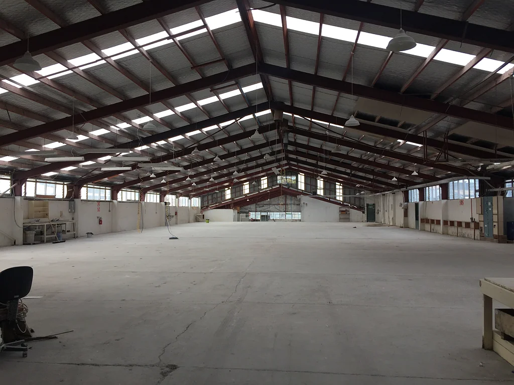 Glen Eden  Functional and affordable industrial