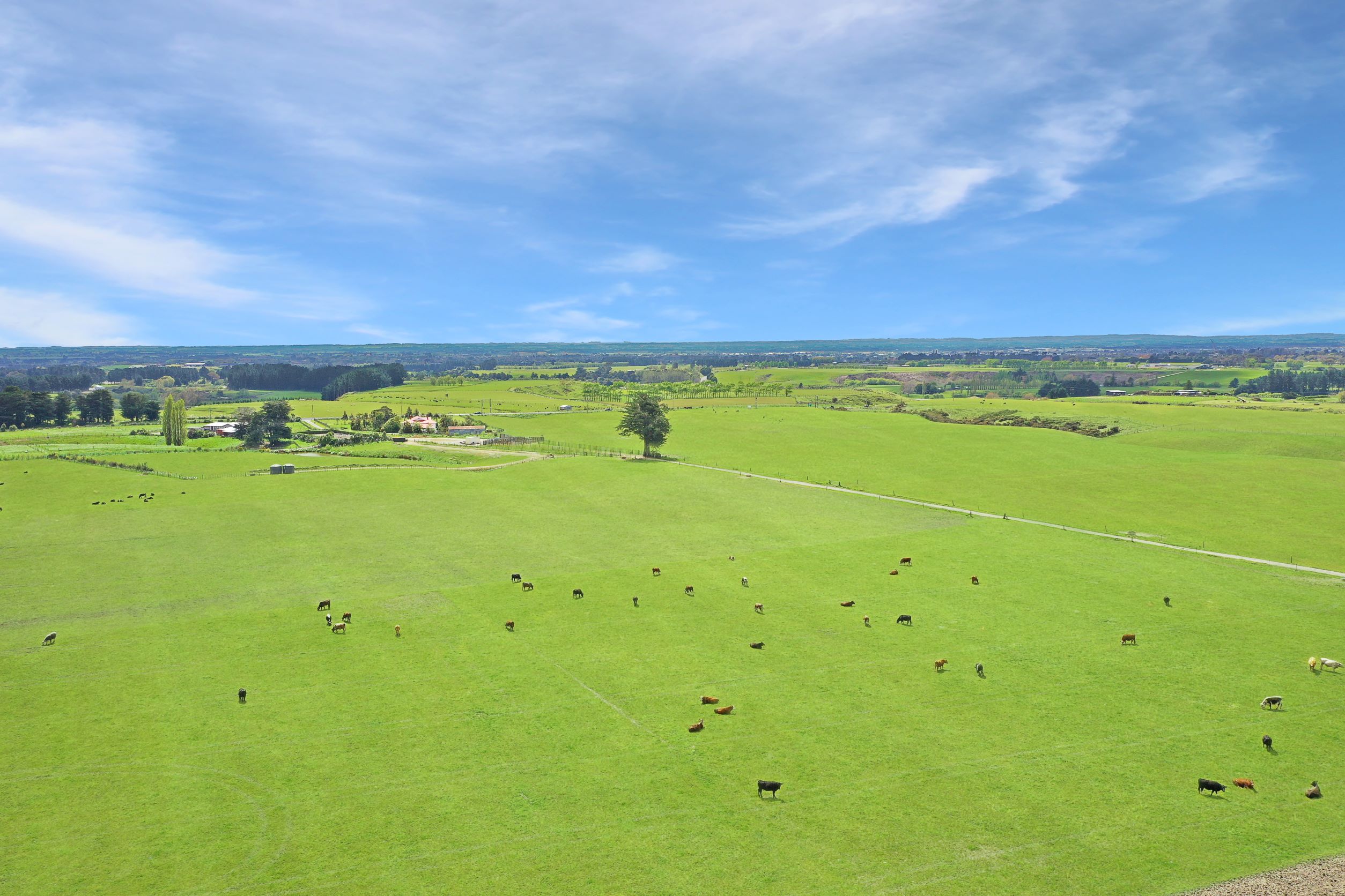 537 Tennent Drive, Linton, Palmerston North, 0 Kuwarto, 1 Banyo, Cropping