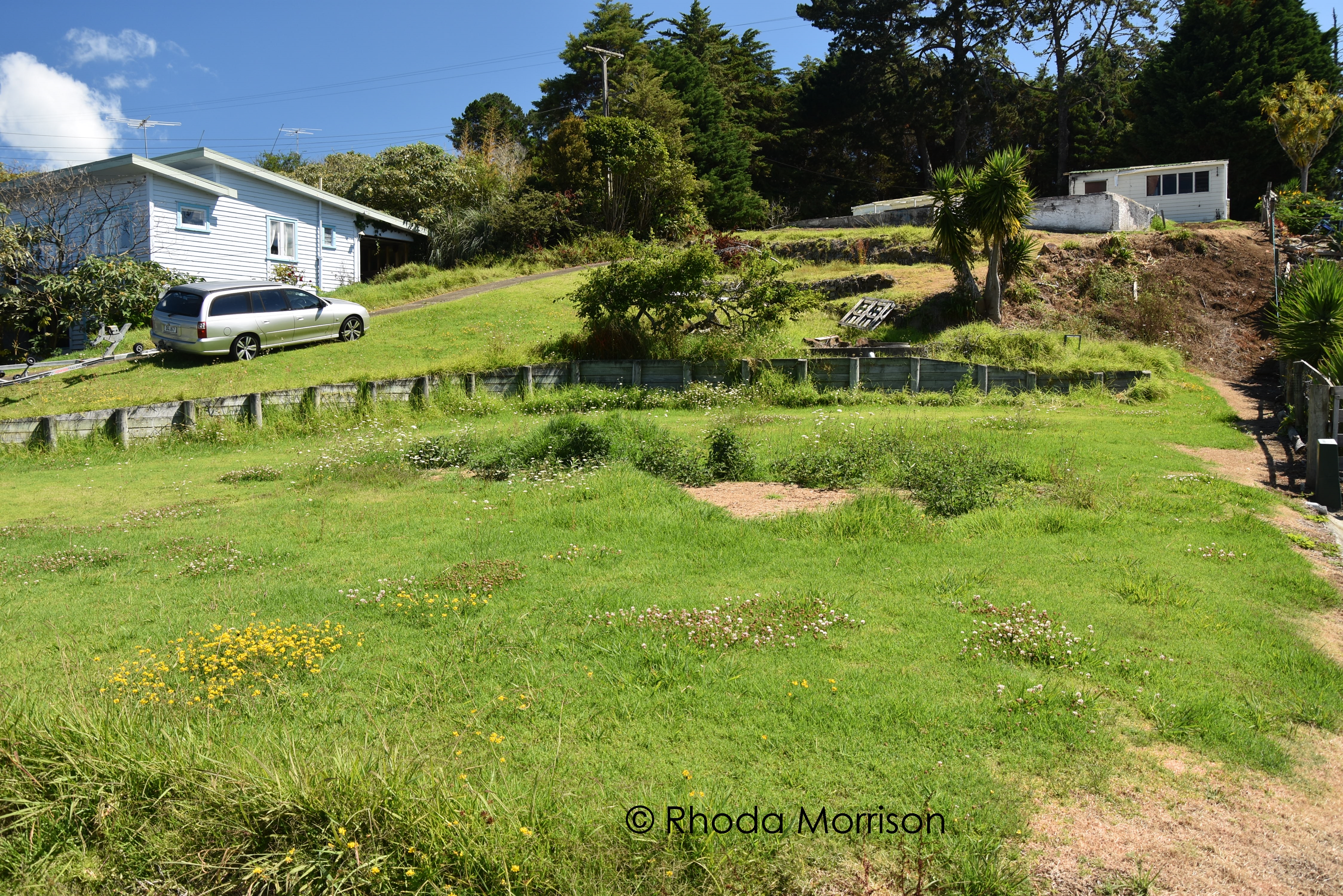 4 Komiti Road, Tinopai, Kaipara, 3 ਕਮਰੇ, 0 ਬਾਥਰੂਮ