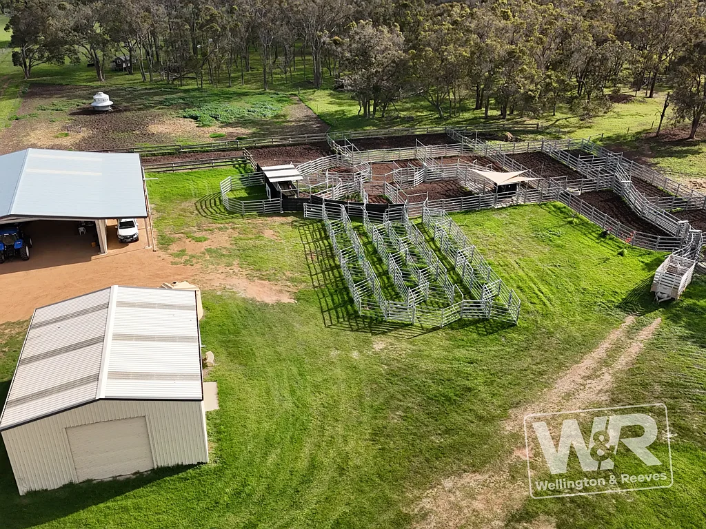 Narrikup WELL APPOINTED  NARRIKUP  195 HA