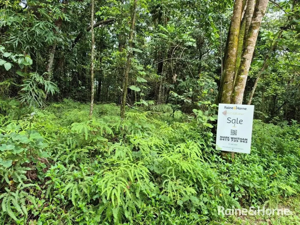 Forest Creek  PRIVATE PEACEFUL LOCATION - 5 ACRES VACANT LAND