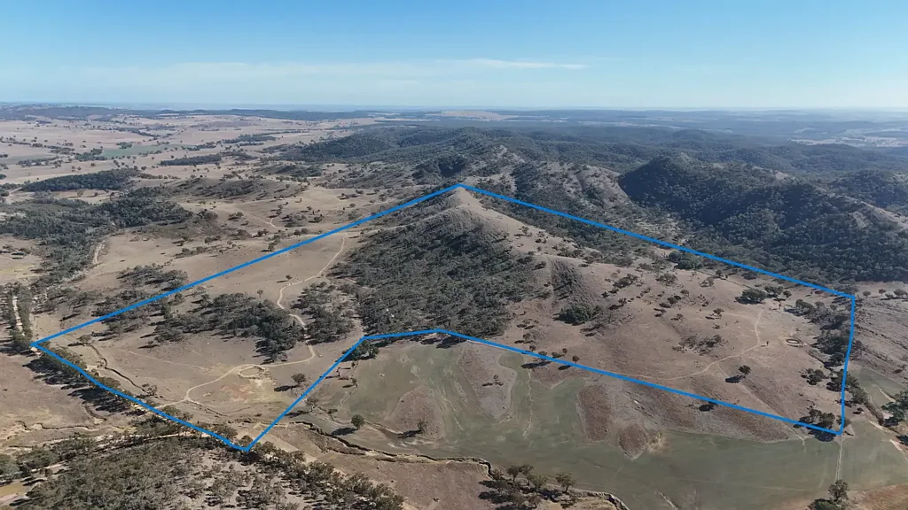 Gulgong MIXED FARMING & GRAZING OPPORTUNITY