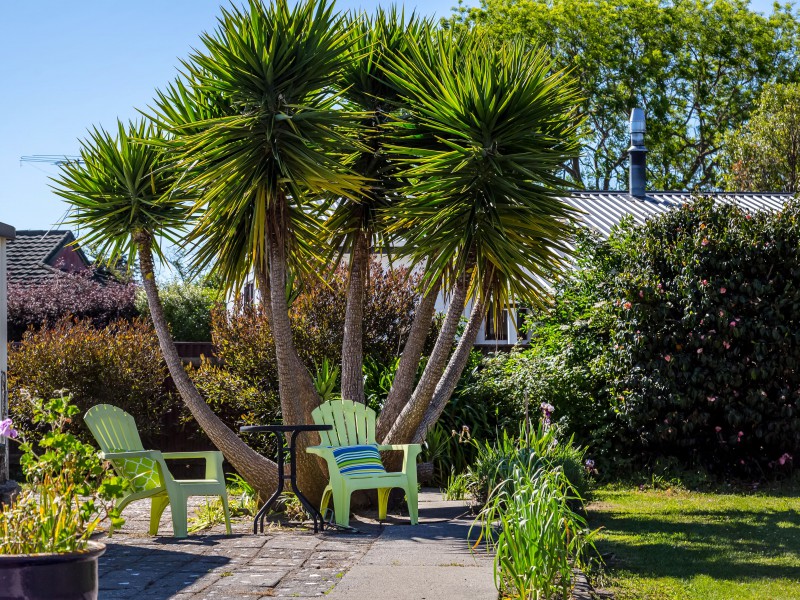 81 Venice Street, Martinborough, South Wairarapa, 2房, 1浴