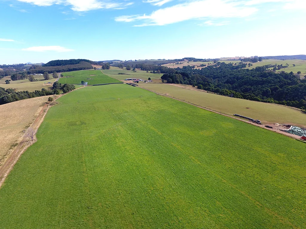 Mount Hicks ‘Clover Downs’ - 425ac on 2 titles. Irrigation.