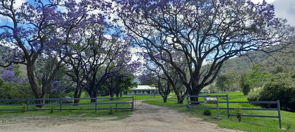 Kempsey Macleay River Grazing