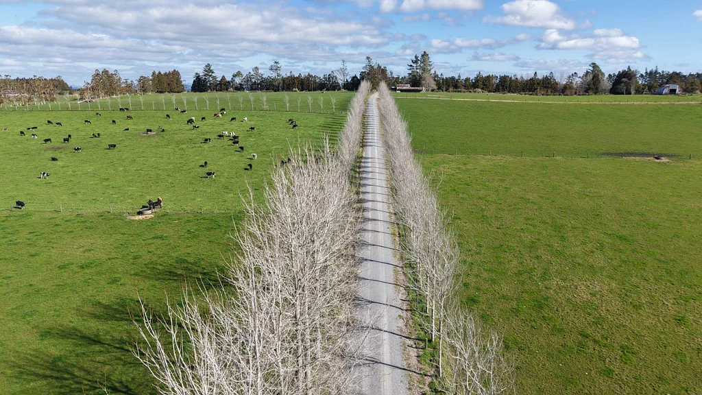 Kerikeri 83.9ha Prime Bay of Islands Land