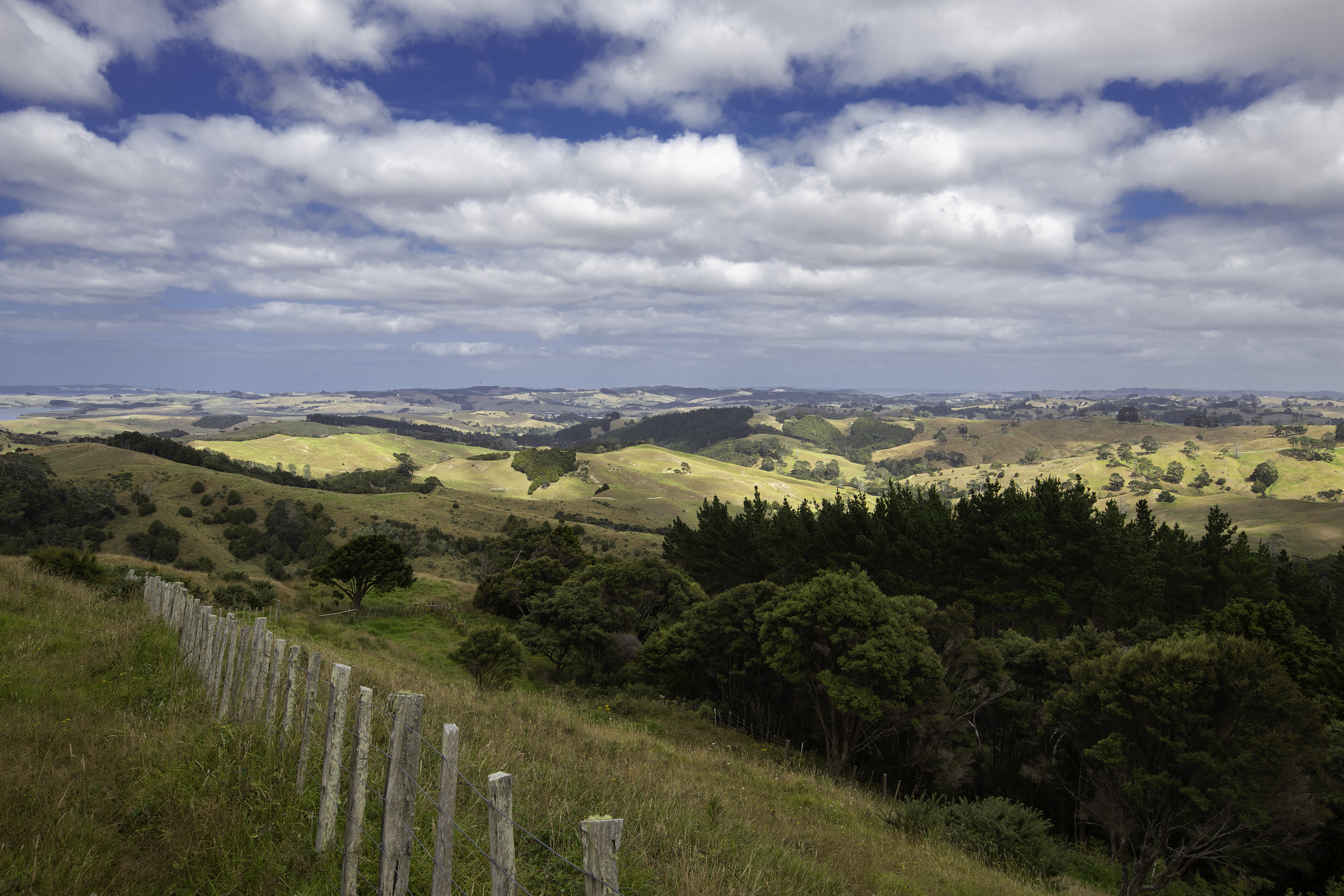 Kaipara Coast Highway, Wellsford, Auckland - Rodney, 0房, 1浴