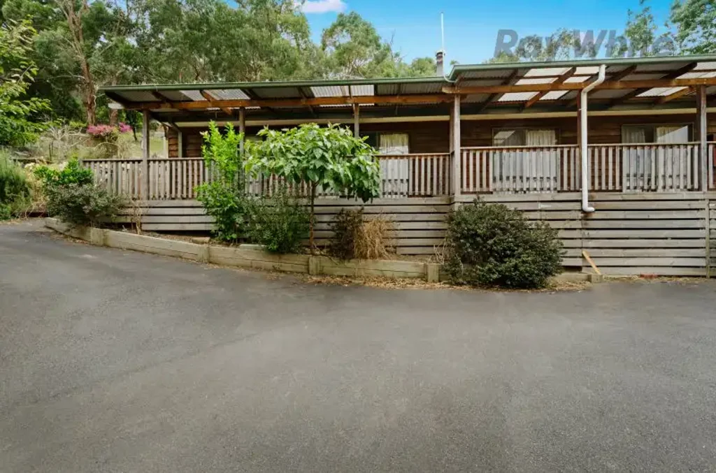 Blissful Family Living in Bushland Oasis