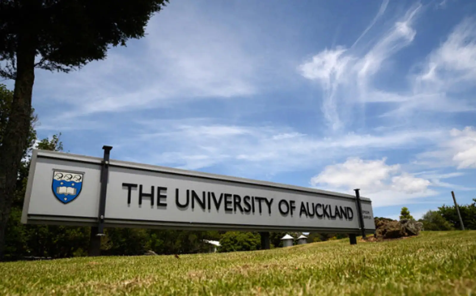 奥克兰大学宣布停课一周！