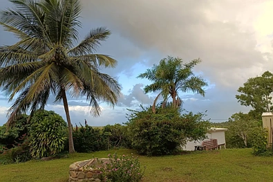 1323 Midge Point Road, Midge Point, QLD 4799, 5 Bedrooms, 3 Bathrooms, House