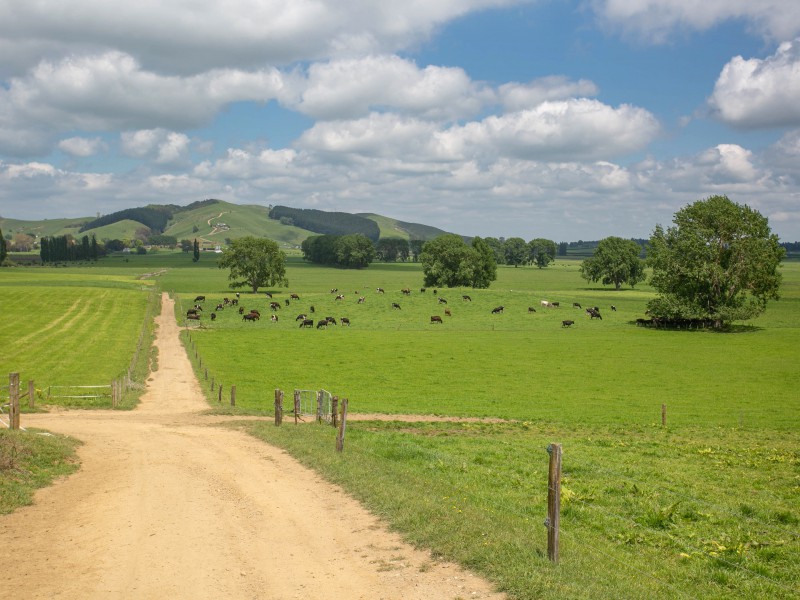 459 Te Kawa Road, Te Kawa, Otorohanga, 4房, 0浴