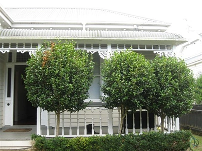 Residential  Single House Zone