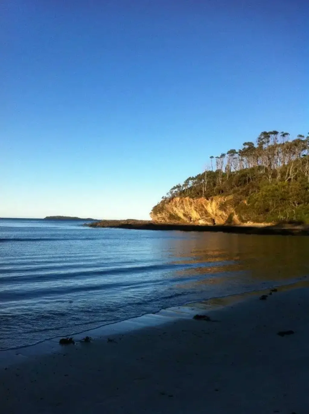 Sublime Family and Dog Friendly