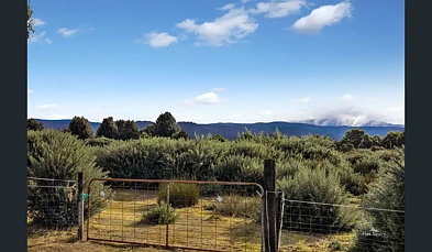 18 Mount Road, Waratah, TAS 7321, 1 slaapkamers, 1 badkamers, Unit