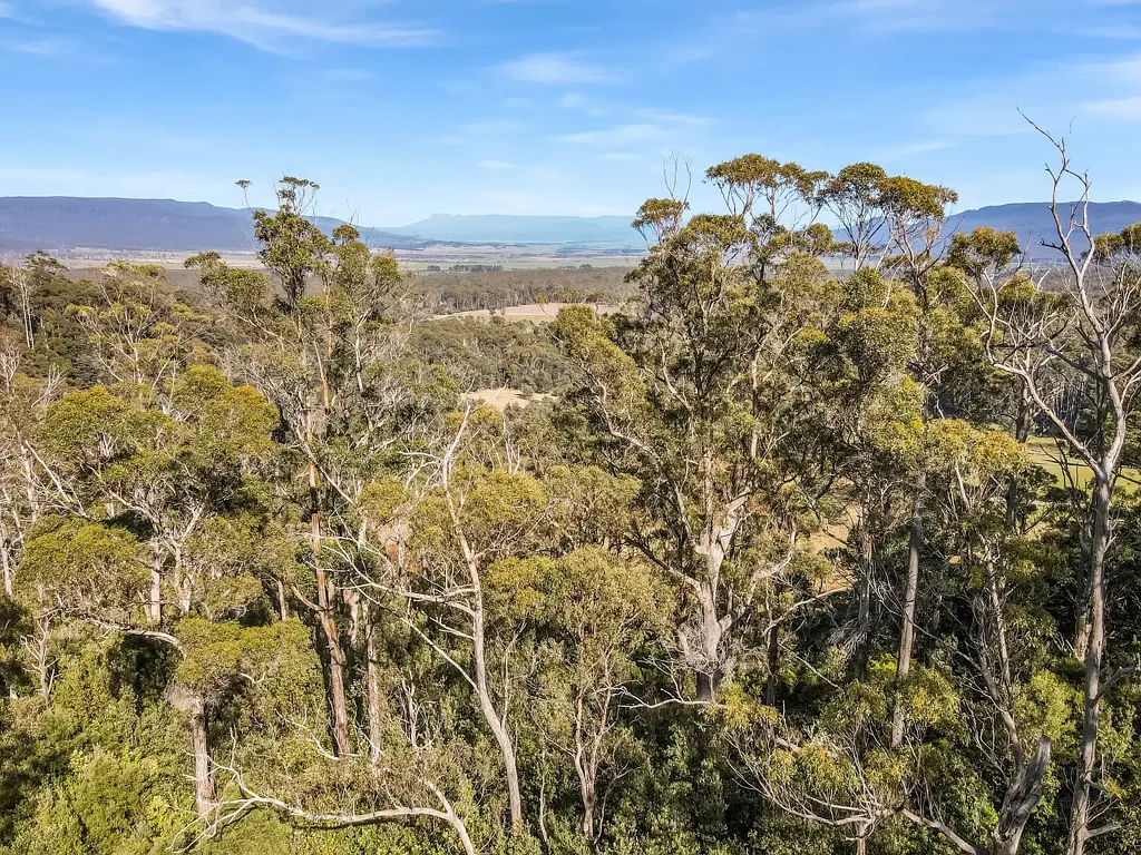 St Marys  Escape to Nature -Untouched Beauty on Mt Elephant's Western Slopes