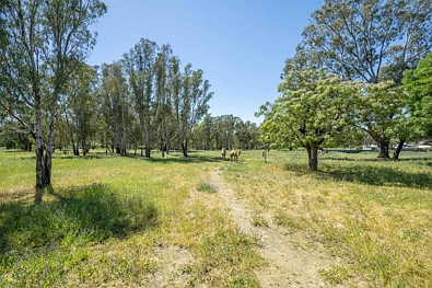बाहरी क्षेत्र - 250 Riverview Drive, Kialla, VIC 3631