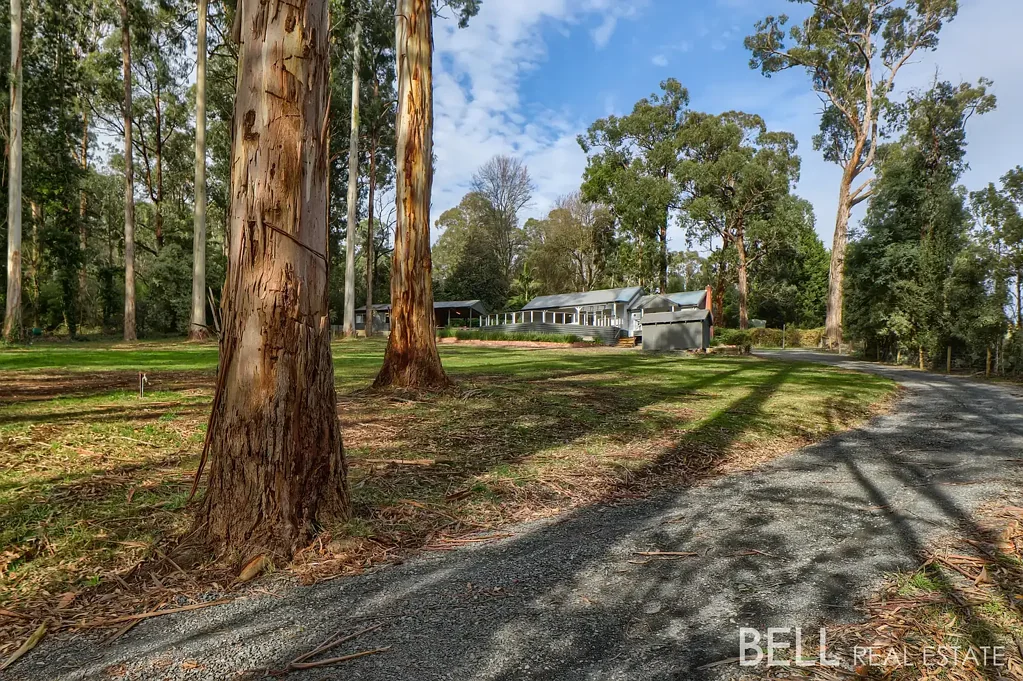 8 Lisheen Road, Cockatoo, VIC 3781