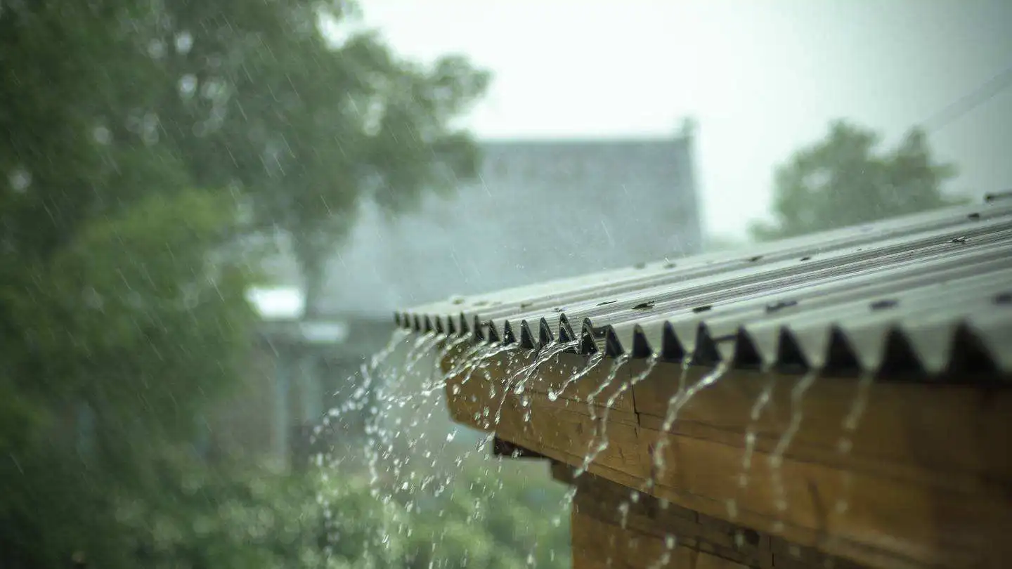 注意！狂风暴雨即将袭击奥克兰！