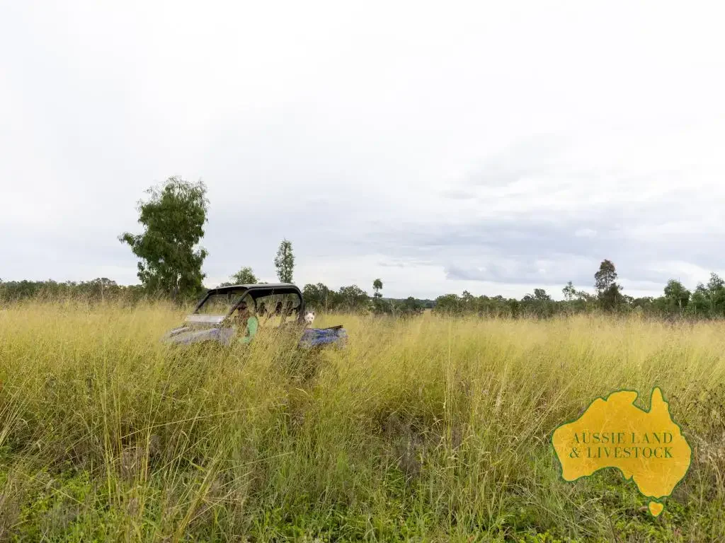 Old Cooranga  "Lanes" – Quality Grazing Country with River Frontage & Irrigation Potential