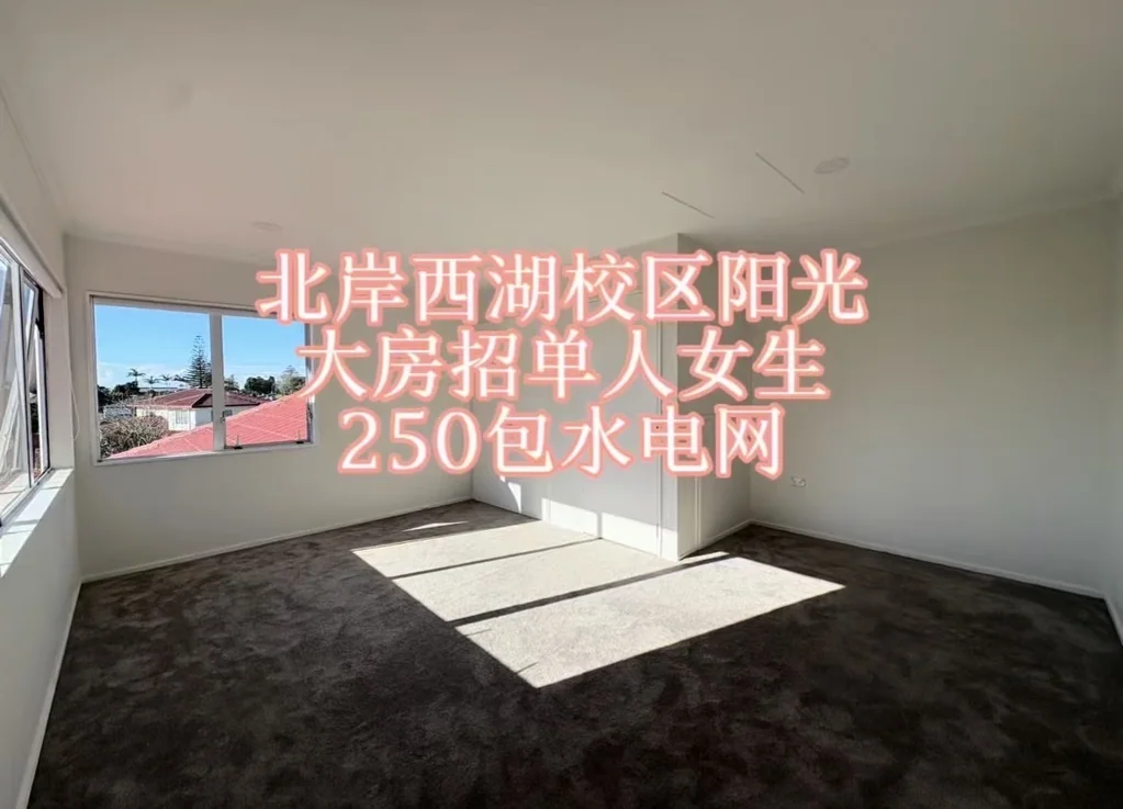 奥克兰北岸Hillcrest｜阳光单间仅限单女