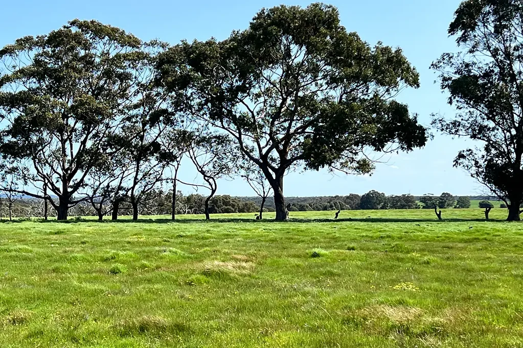 Albany Elevated 1-Hectare Lots. Country Living with Great Views