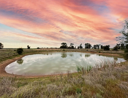 'Gressenhall' 219 Howes Lane, West Wyalong, Riverina, 0房, 0浴, Lifestyle Property