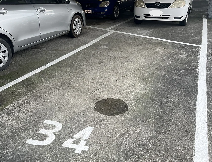 4B34/187 Victoria Street - Car park, Te Aro, Wellington City, Wellington, 1房, 1浴, 排房
