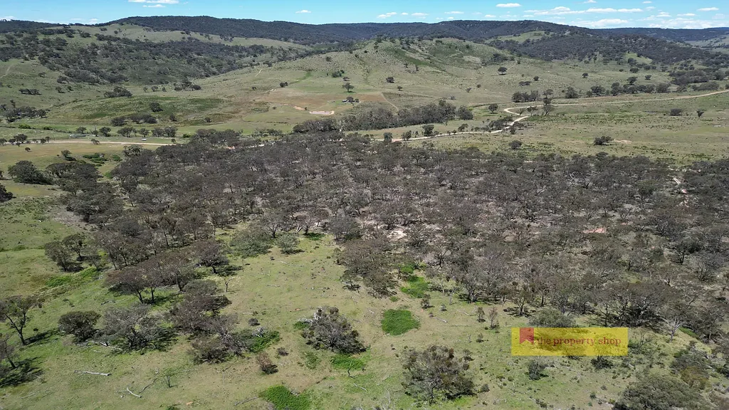 Mudgee IDYLLIC RURAL ESCAPE