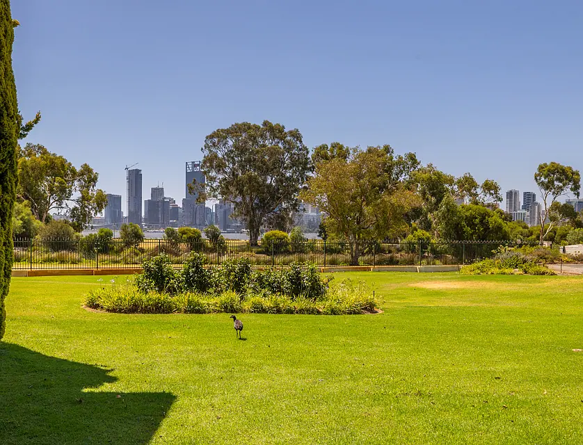 13/32 Jubilee Street, South Perth, Perth CBD, 3 habitaciones, 1 baños, Apartment