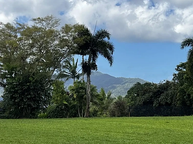 ਹੋਰ - LOT 61 O'Connor Drive, Eubenangee, QLD 4860
