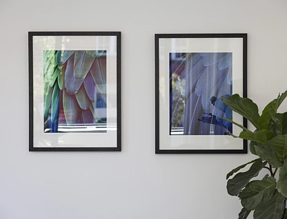 15/533-535 Elizabeth Street, Surry Hills, Sydney CBD, 1 phòng ngủ, 1 phòng tắm, Apartment