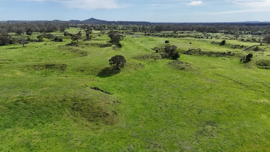 Stonyford WARM HEALTHY COLAC DISTRICT CATTLE COUNTRY