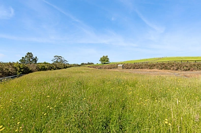 369 Glenbrook Road, Karaka, Franklin District, 0 Bedrooms, 0 Bathrooms, Lifestyle Section