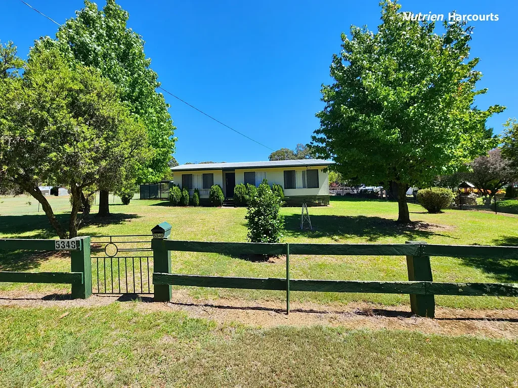 5349 Strathbogie Road, Emmaville, NSW 2371