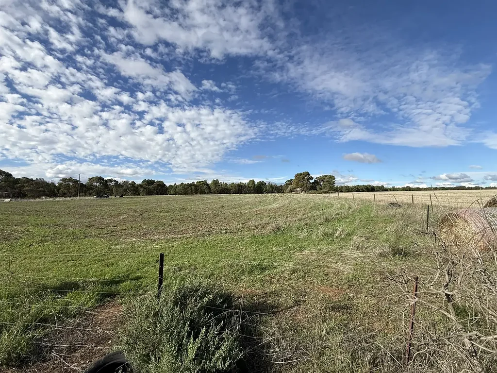 Gladstone  Lifestyle Allotment on Approx. 3.1 Acres with Dual Road Access