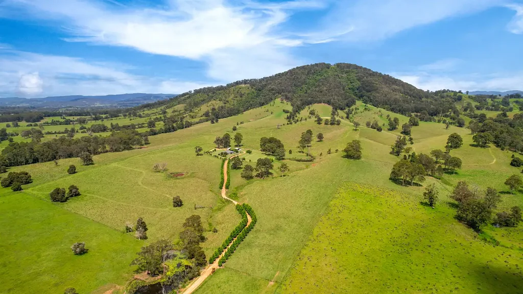 613 Comboyne Road, Cedar Party, NSW 2429
