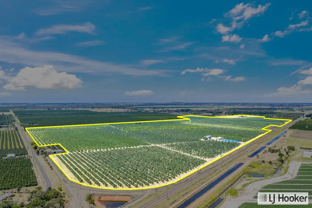 Meadowvale 133HA PRIME AGGRIGATION – LARGE ESTABLISHED MACADAMIA FARM