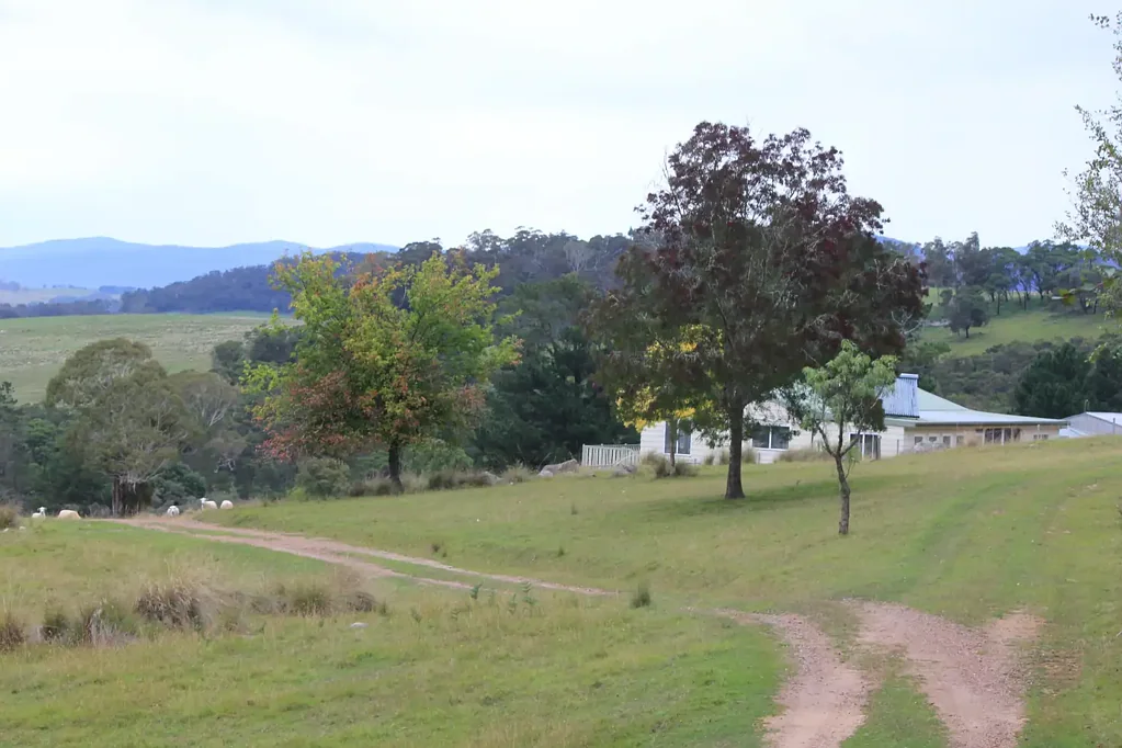 225 Kain Cross Road, Braidwood, NSW 2622