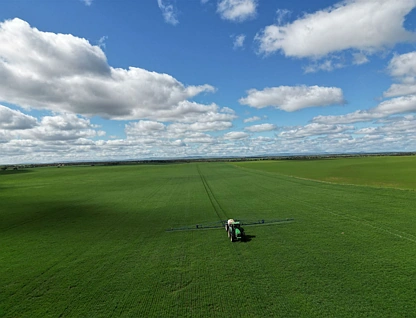 Afton Grove 8158 Spencer Hwy, Alford, Barossa - Yorke - Mid North, 0房, 0浴, Lifestyle Property