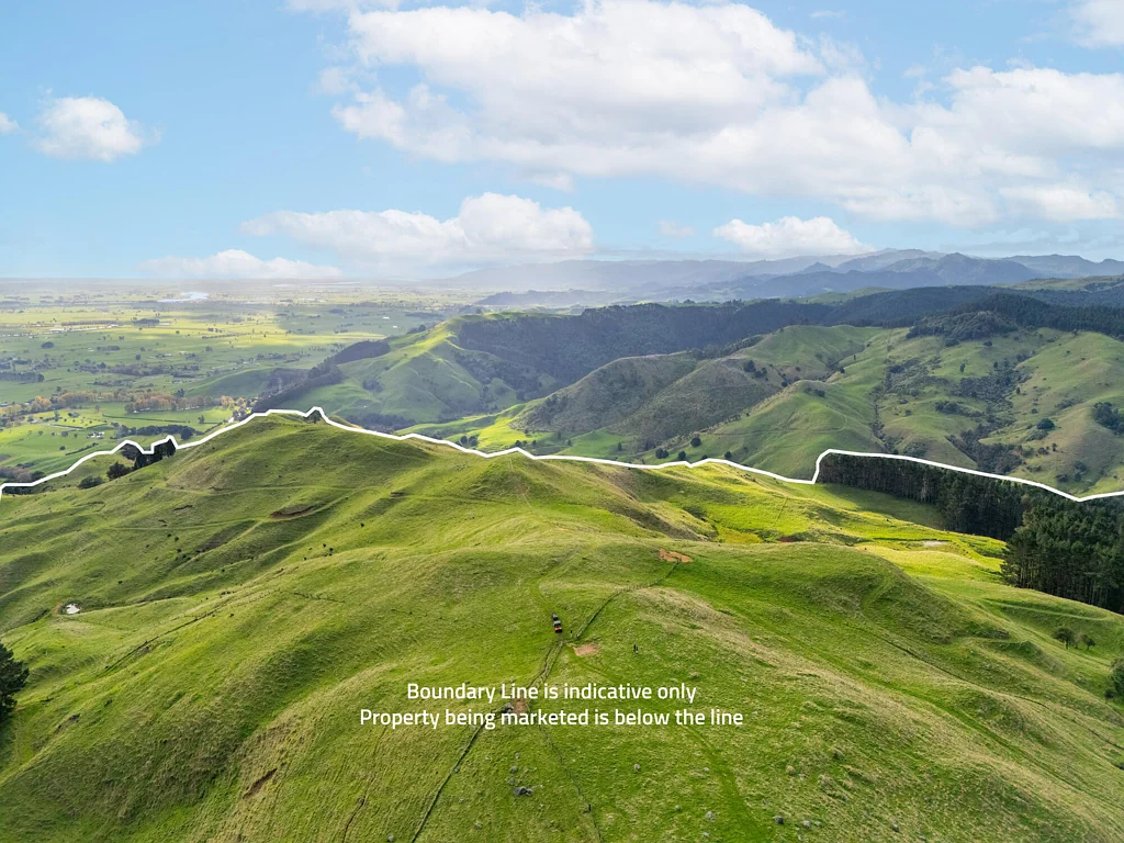 Paeroa 274Ha | Sheep, Beef & Forestry Options