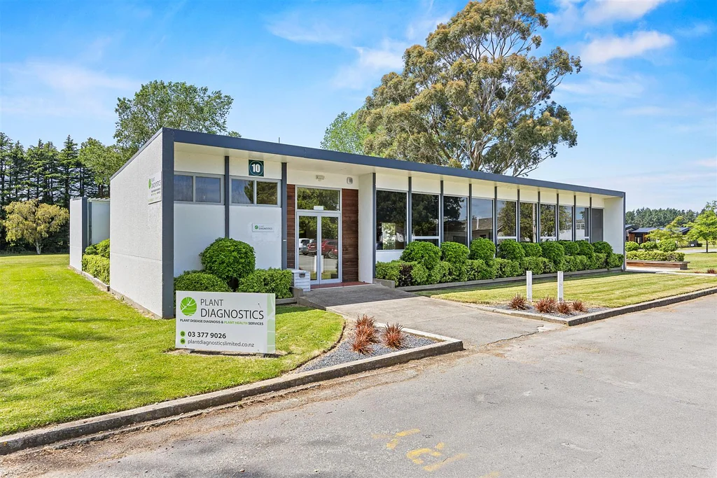 Templeton Ready-to-Occupy Office with Auditorium
