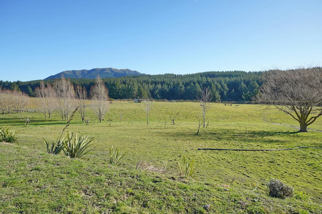 Broomfield  4 Hectares in Paradise.