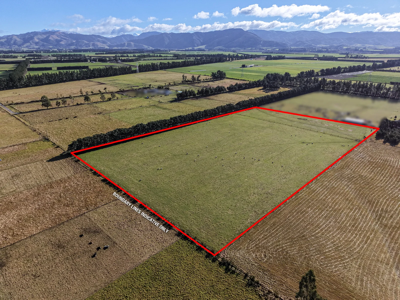 77 Leslies Road, Cust, Waimakariri, 0 Bedrooms, 0 Bathrooms, Lifestyle Section