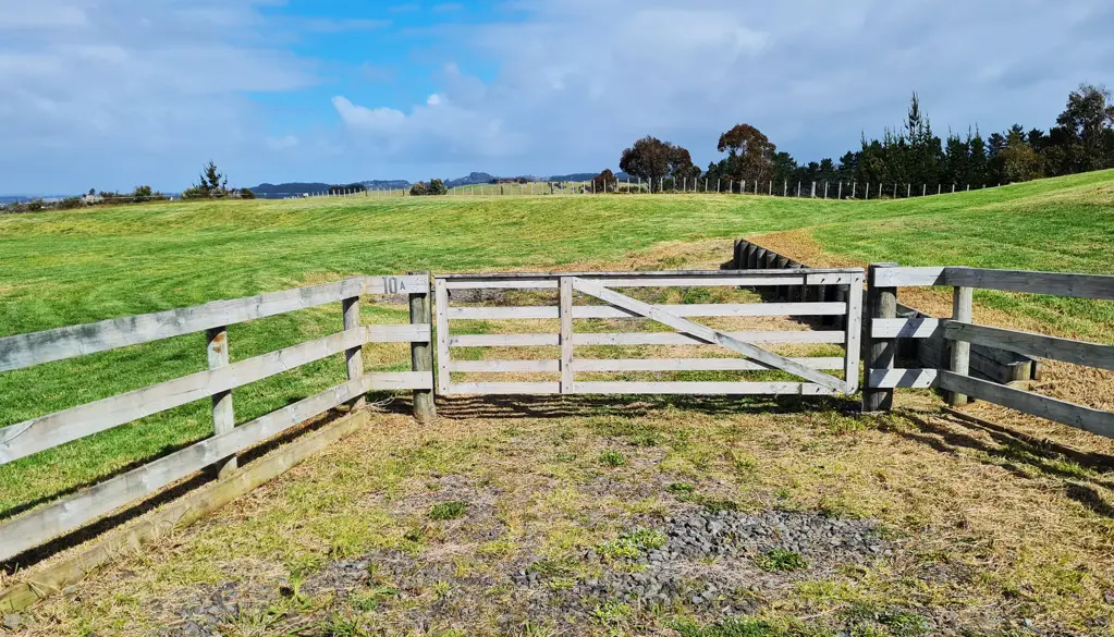 South Head In On The Farm: