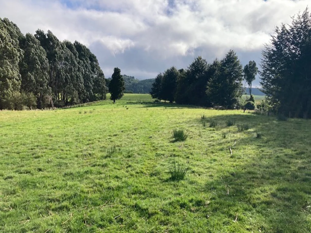 Gore Surrounds  Private lifestyle block