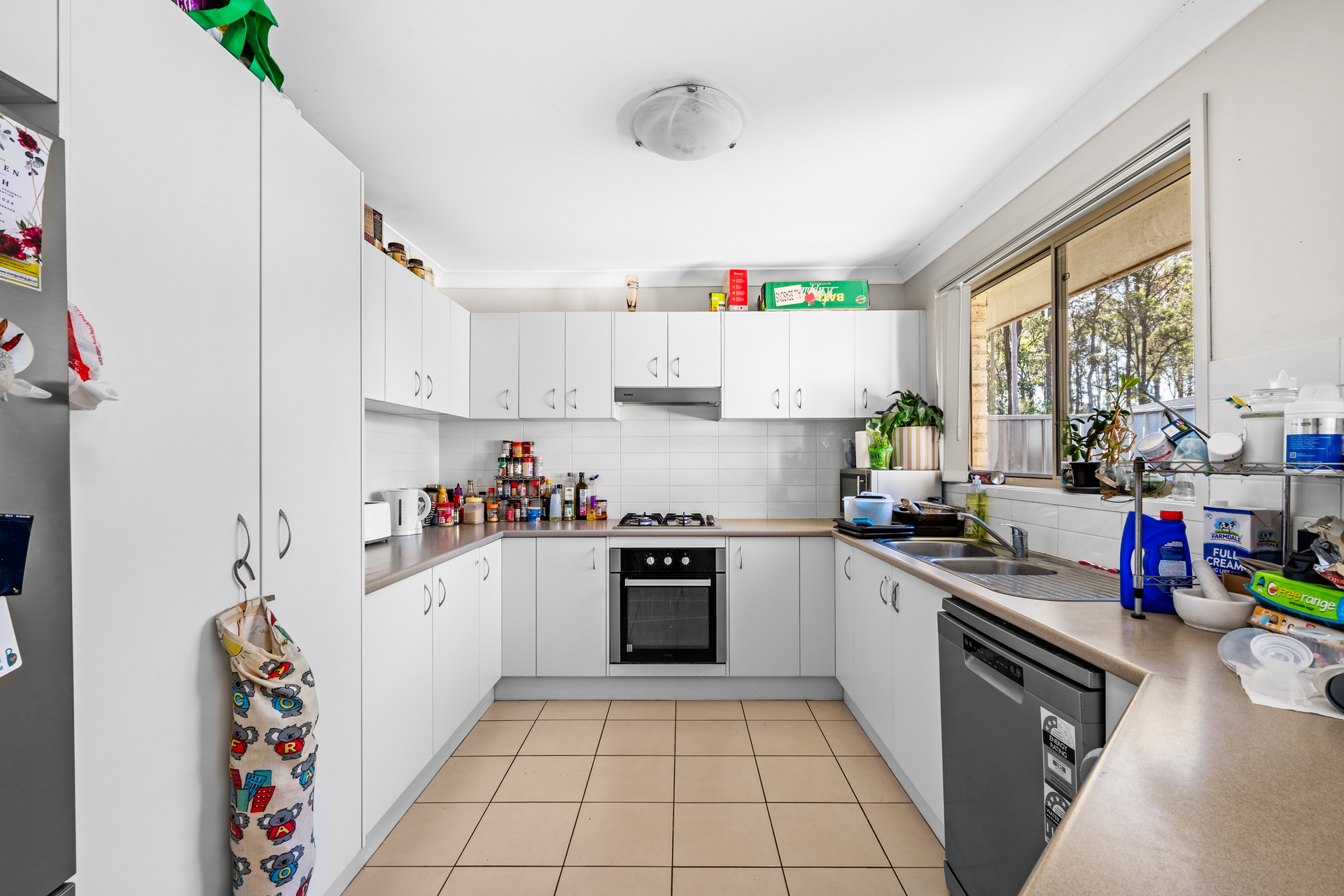 105 RADFORD ST, CLIFTLEIGH NSW 2321, 0房, 0浴, House